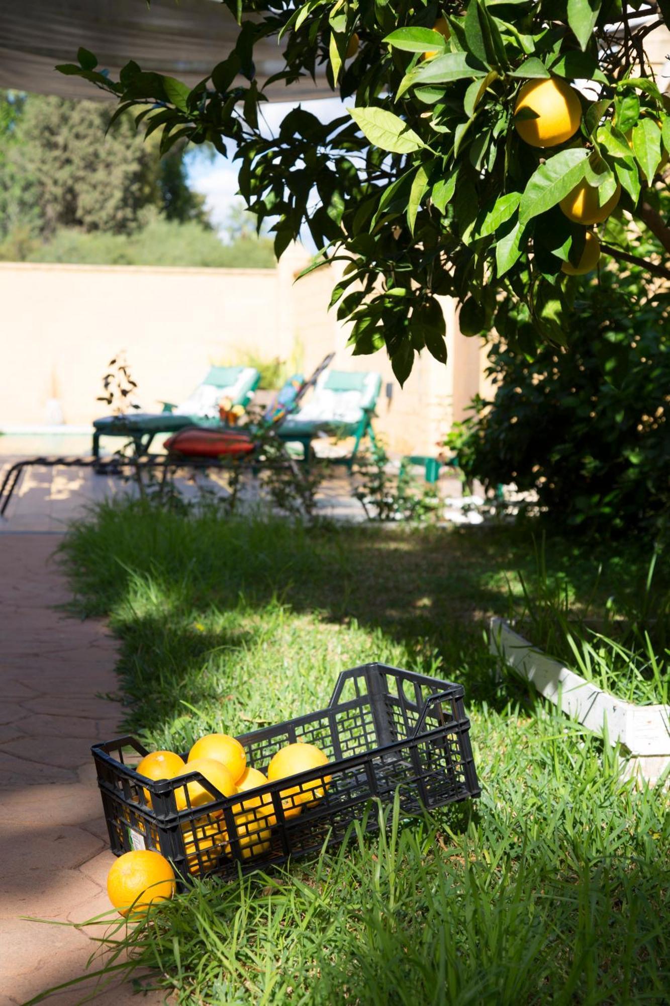 Apartamento El Regreso El Pinar Torremolinos